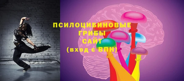 метадон Богородицк