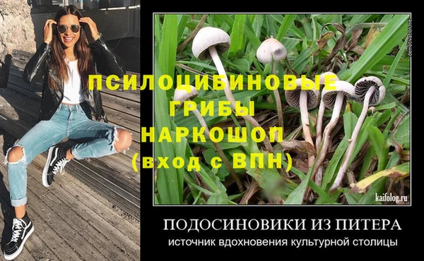 метадон Богородицк