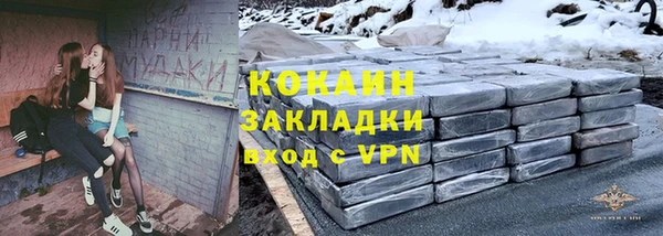 молекула духа Богородск