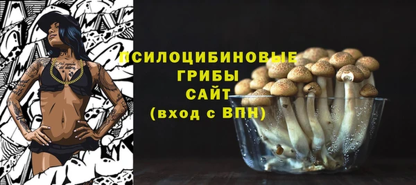 скорость Богданович
