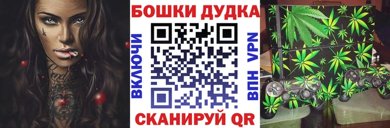 Бошки Шишки ГИДРОПОН  продажа наркотиков  Кирово-Чепецк 